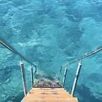 Aura *