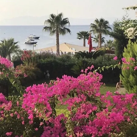 בית נופש Aura *