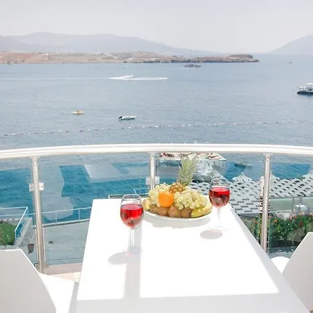 בית נופש Aura